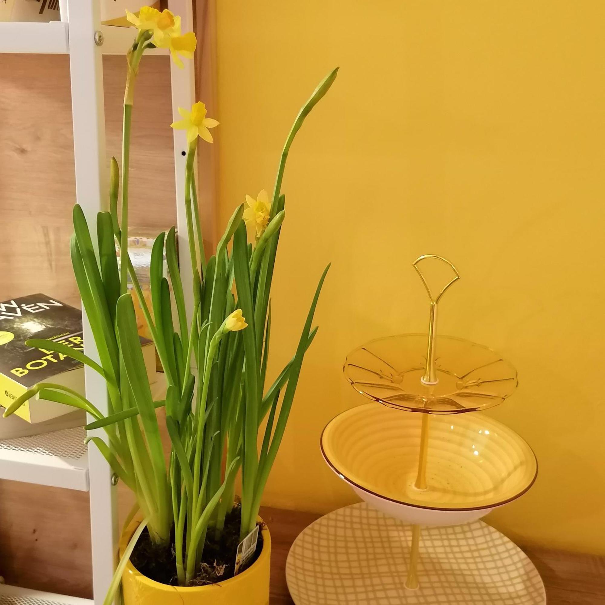 Alpenblumal Apartment บัดกอยเซิร์น ภายนอก รูปภาพ